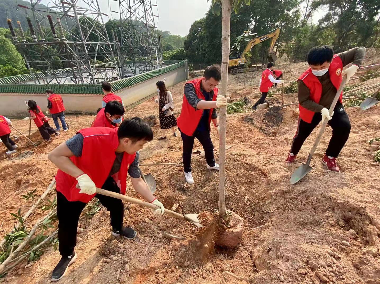 志愿2.jpg