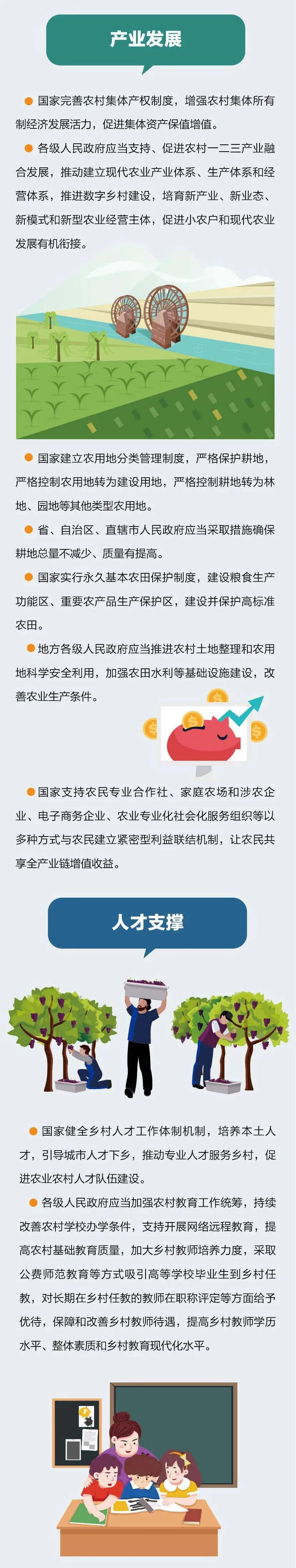 乡村振兴2.jpg